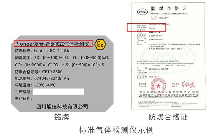 2.标准气体检测仪示例.jpg